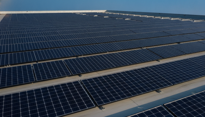 Harga panel surya per watt peak (Wp) terbaru