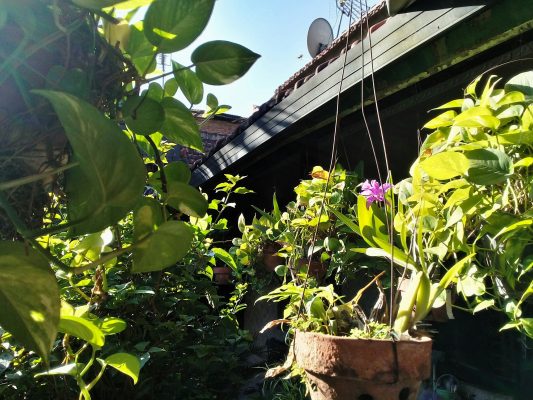 Panduan Memilih Pompa Air Celup Taman Bunga