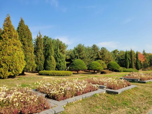 Panduan Memilih Pompa Air Celup untuk Taman Bertingkat