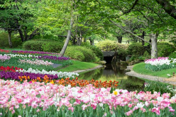 Memilih Pompa Air Celup untuk Taman dengan Sprinkler