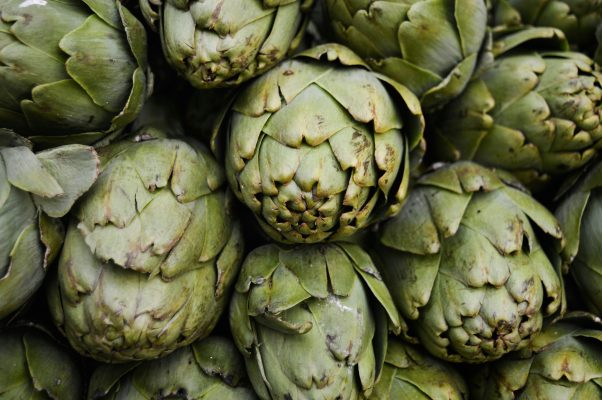 Monitoring Debit Pompa Tenaga Surya Lorentz di Kebun Artichoke